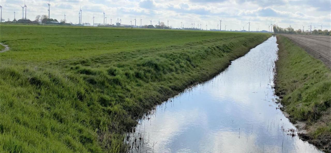 Großes Doppelzimmer mit eigenem Bad und Kühlschrank, frisch saniert Friedrichskoog Exterior foto